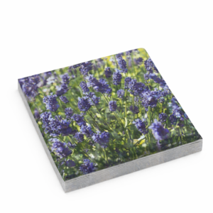 Pabersalvrätikud „Lavendliväli“ 33 × 33 cm