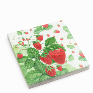 Salvrätik - Maasikad -